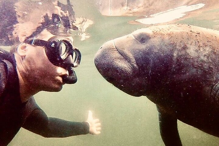 Manatee Snorkel Tour from American Pro Diving Center - Photo 1 of 16